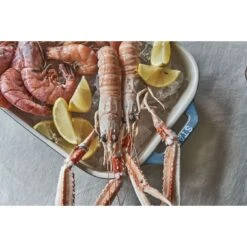 Staub Set De Bandejas De Horno M/L/XL 3-pzs, Turquesa Antiguo -Staub Verkoop 424423155